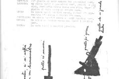 26-Raccolta-anno-scolastico-1977-1978-Archivio-Susanna-Morandini.