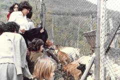 36-Al-parco-di-Cavriglia-1980-Archivio-Martina-Dori.