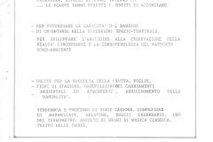 139-Raccolta-anno-scolastico-1980-1981-Archivi-di-Lia-Sarchi-e-Simona-Nocentini.