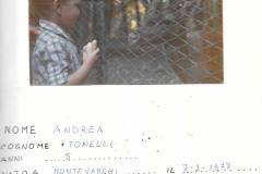 29-Lavoro-individuale-1981-1982-Archivio-Daniela-Meschini.