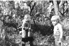 3-Vendemmia-1981-Archivio-Gino-Vannelli.