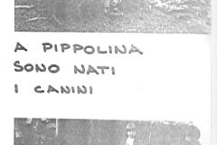 65-Storia-fotografica-giugno-1982-Archivio-Giovanni-Bigi.