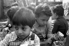 8-Vendemmia-1981-Archivio-Famiglia-Buti.