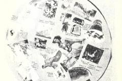 91-Sezione-Verde-Archivio-Marta-Marziali.