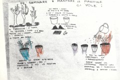 93-Sezione-Verde-Archivio-Gianni-Becattini.